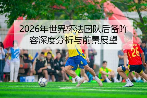 2026年世界杯法国队后备阵容深度分析与前景展望